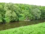 Продам 2 участка по 30 сот. в Ленинском районе на береговой линии.