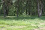 Продам участок в д. Лужки, на берегу р.Ока