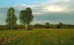 Продаётся крупный земельный массив в Сосновском районе Нижегородской обл.